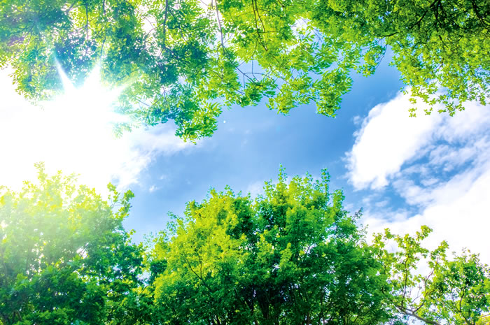 「豊かな自然は祖先からの贈り物」です。